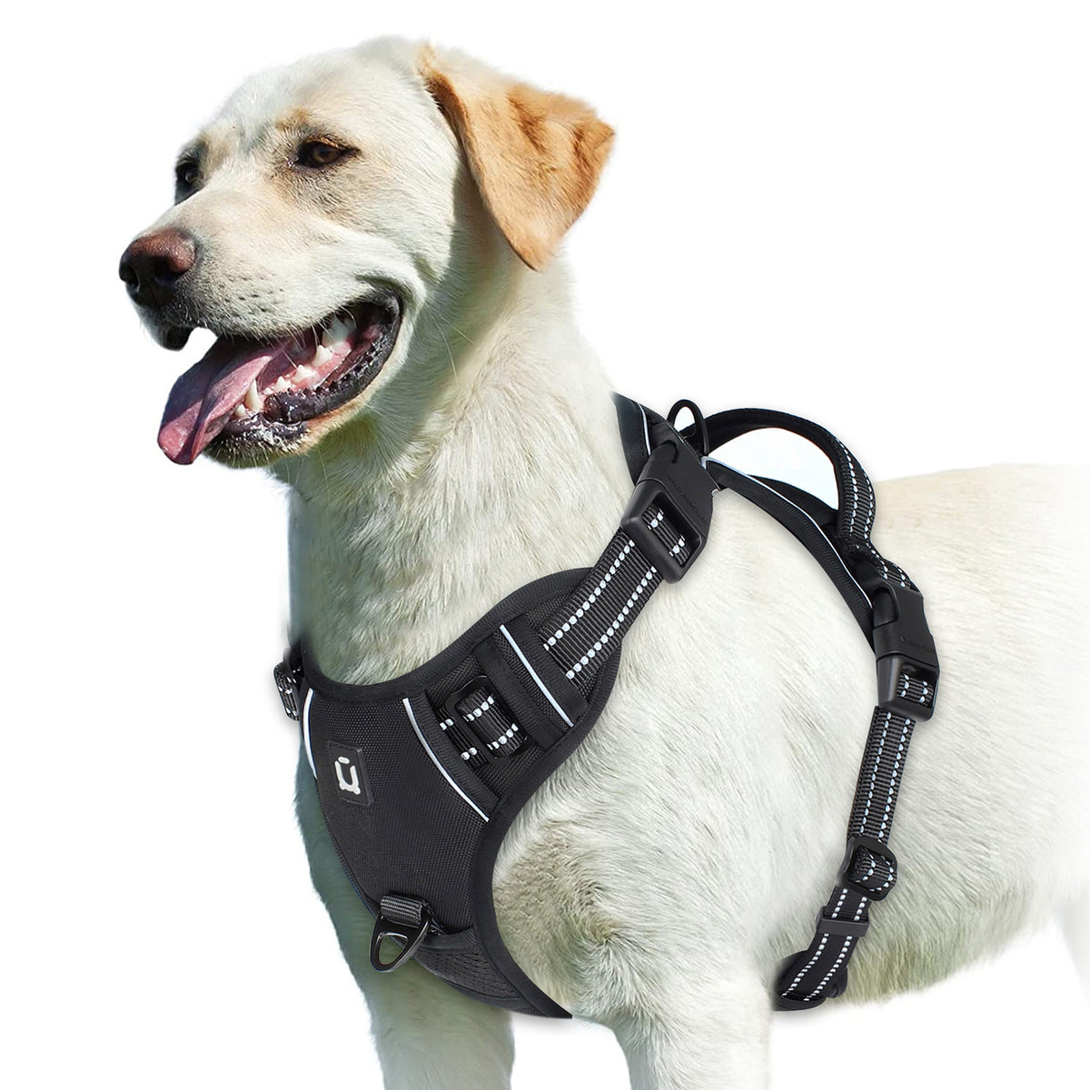 Anti Shock Vest Reflective No Pull Dog Harness with free Bungee Lead
