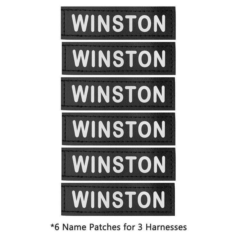 No-Pull Dog Harness Set with Custom Name Tag