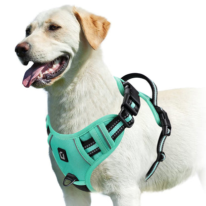 No Pull Dog Harness with free Bungee Lead