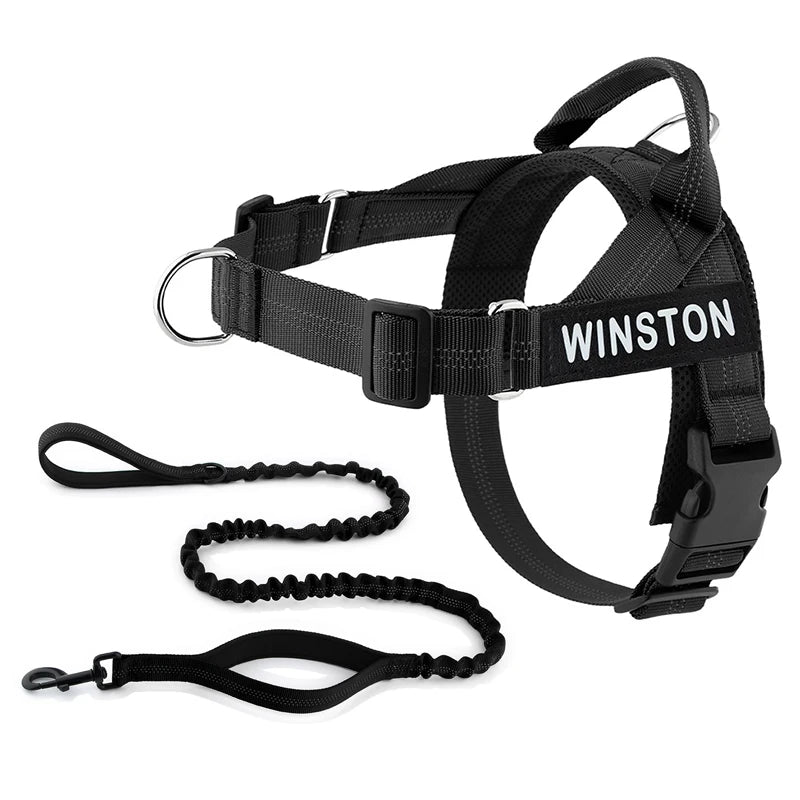 No-Pull Dog Harness Set with Custom Name Tag