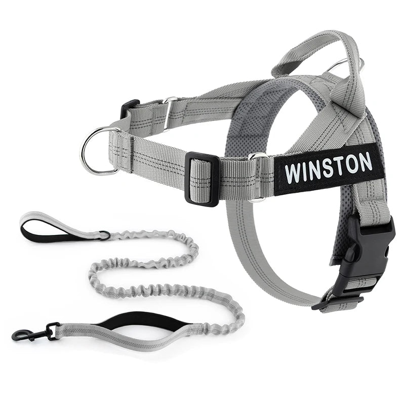 No-Pull Dog Harness Set with Custom Name Tag
