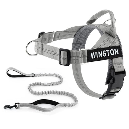 No-Pull Dog Harness Set with Custom Name Tag