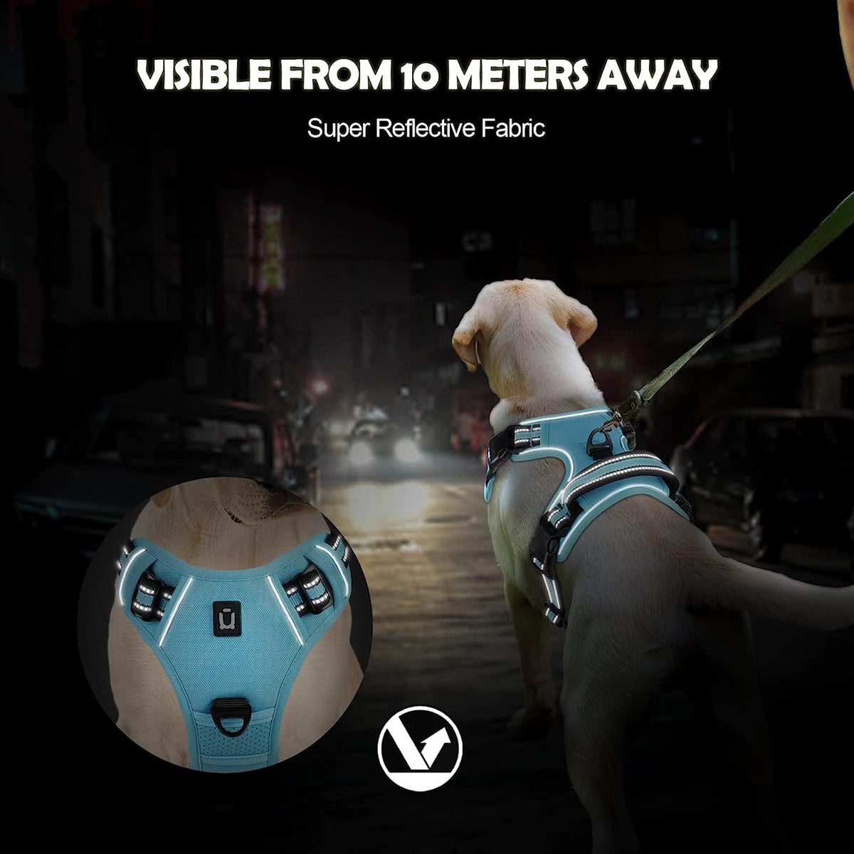 No Pull Dog Harness with free Bungee Lead