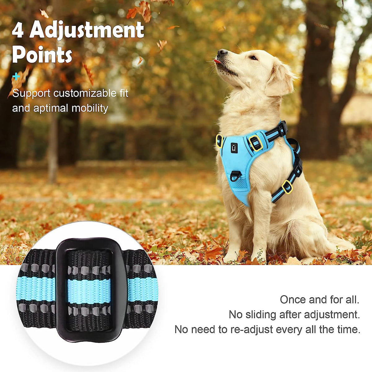 No Pull Dog Harness with free Bungee Lead