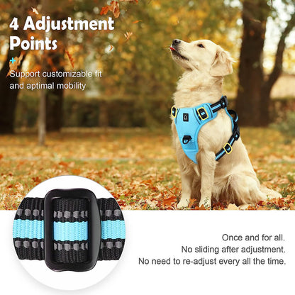 No Pull Dog Harness with free Bungee Lead