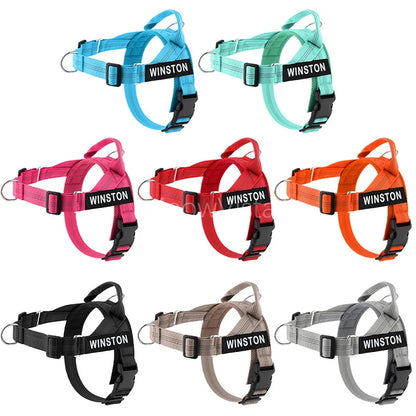 No-Pull Dog Harness Set with Custom Name Tag