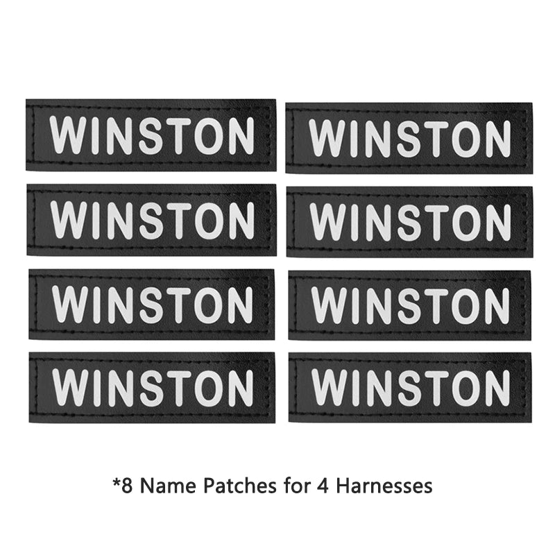 No-Pull Dog Harness Set with Custom Name Tag
