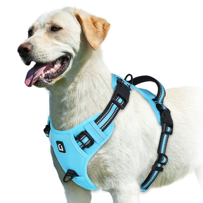 No Pull Dog Harness with free Bungee Lead
