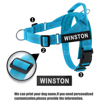 No-Pull Dog Harness Set with Custom Name Tag