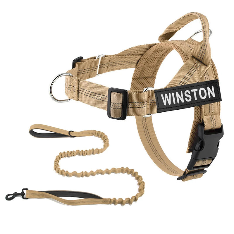 No-Pull Dog Harness Set with Custom Name Tag