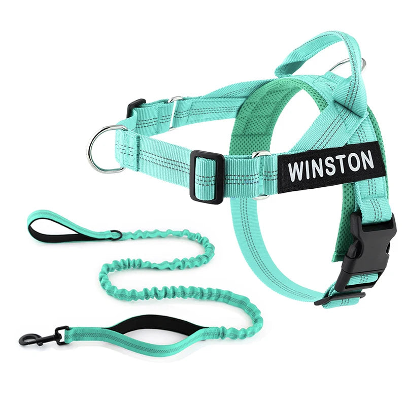 No-Pull Dog Harness Set with Custom Name Tag