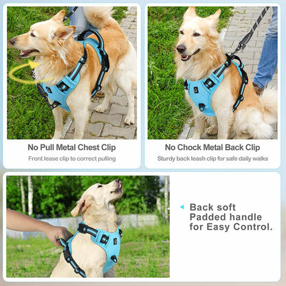No Pull Dog Harness with free Bungee Lead