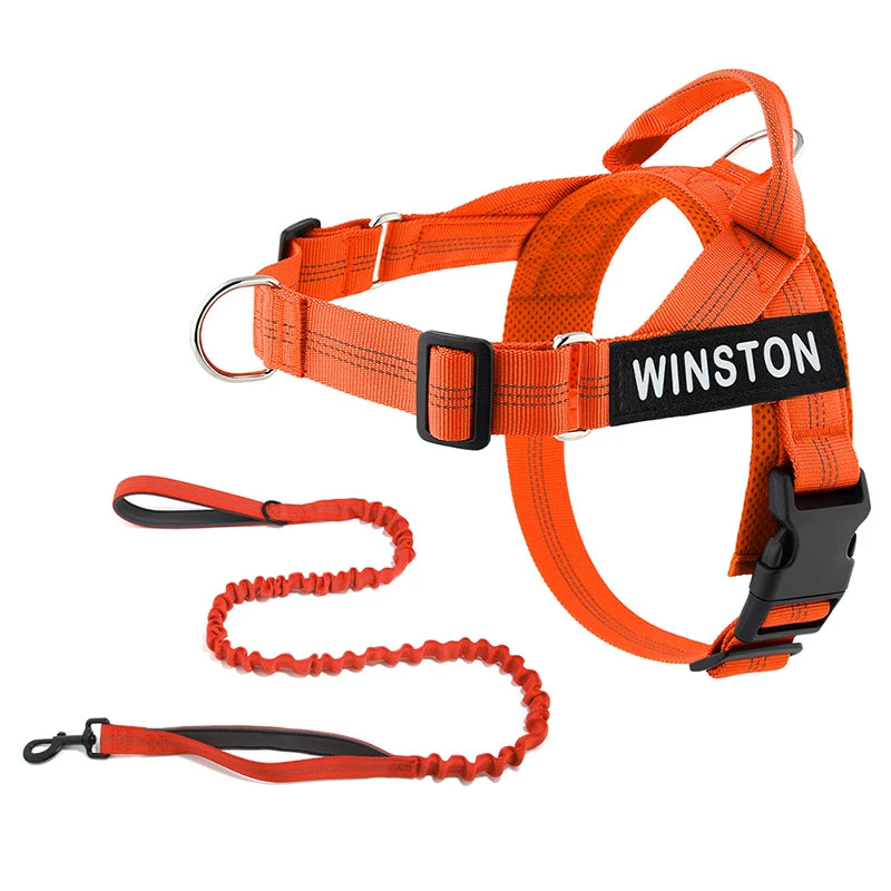 No-Pull Dog Harness Set with Custom Name Tag