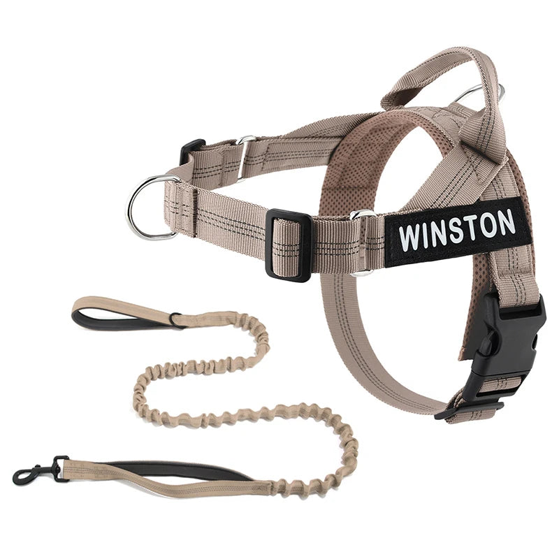 No-Pull Dog Harness Set with Custom Name Tag