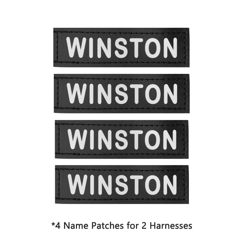 No-Pull Dog Harness Set with Custom Name Tag