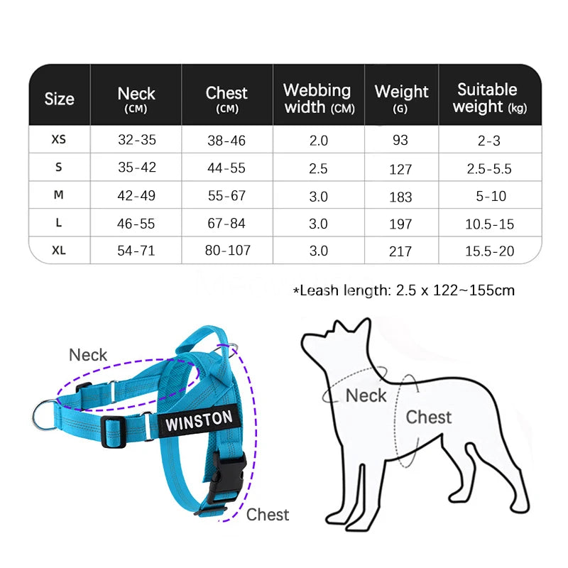 No-Pull Dog Harness Set with Custom Name Tag
