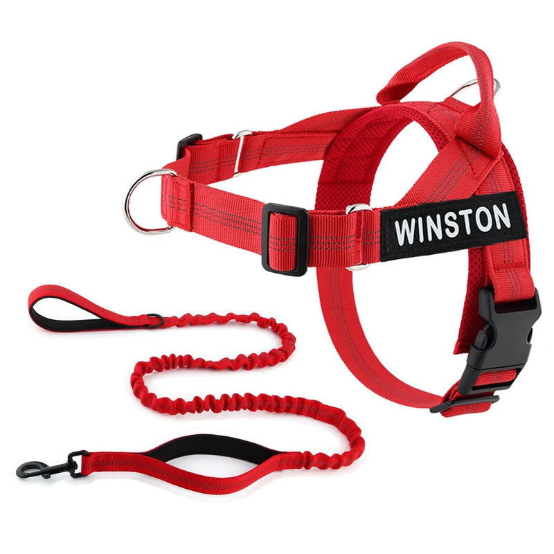 No-Pull Dog Harness Set with Custom Name Tag