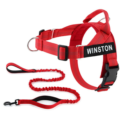 No-Pull Dog Harness Set with Custom Name Tag