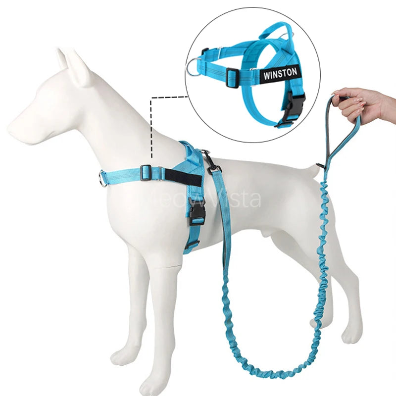 No-Pull Dog Harness Set with Custom Name Tag