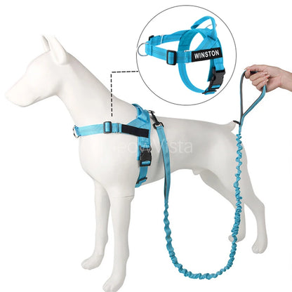 No-Pull Dog Harness Set with Custom Name Tag