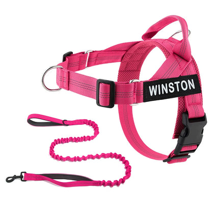 No-Pull Dog Harness Set with Custom Name Tag